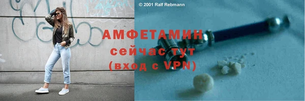 гидра Мегион