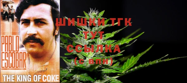 гидра Мегион