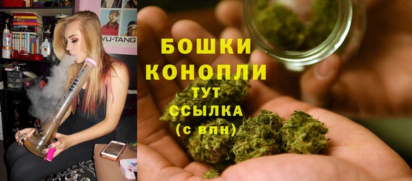 гидра Мегион