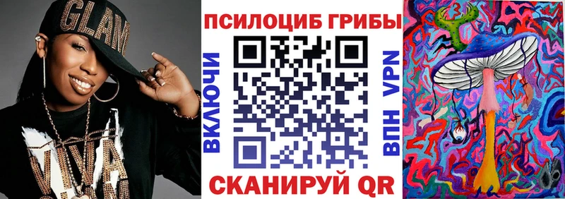 Галлюциногенные грибы Psilocybe  мориарти официальный сайт  Темников  mega как войти 